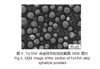 图4.png 图4.png