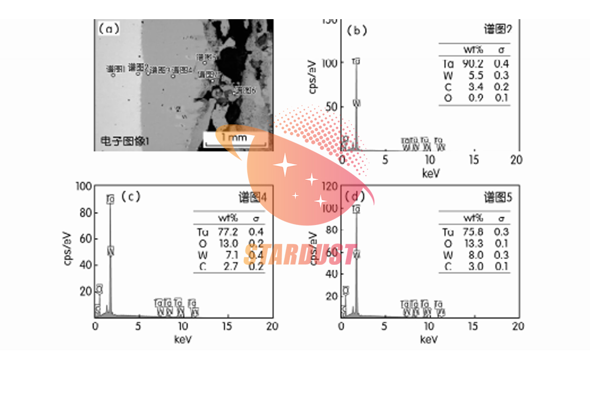 3D 打印 Ta10W 合金防护涂层失效因素分析