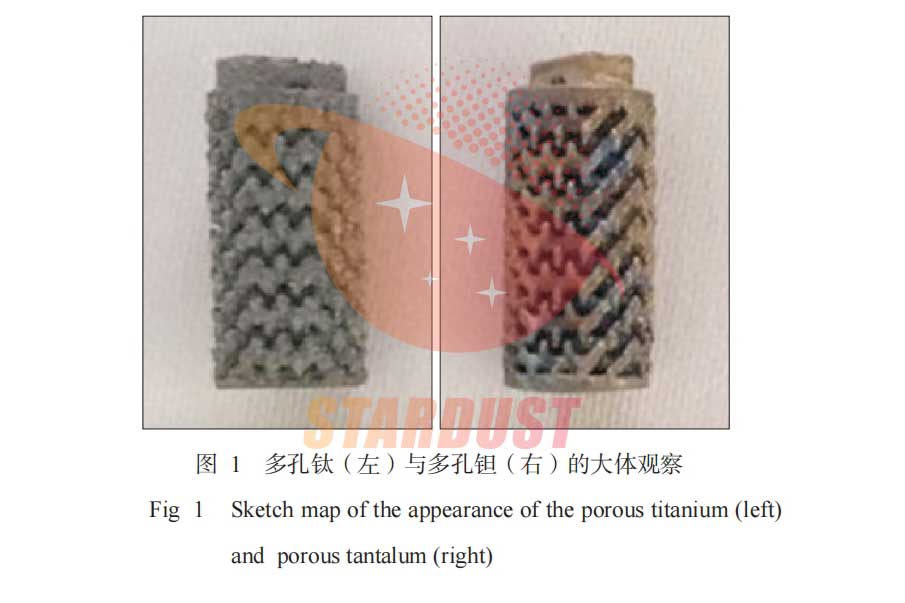 3D打印多孔钽种植体对骨整合影响的实验研究