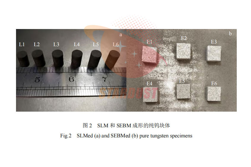 SLM 和 SEBM 成形纯钨组织与缺陷的对比研究