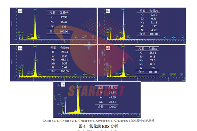 NbW合金在600～900℃温度下氧化行为研究